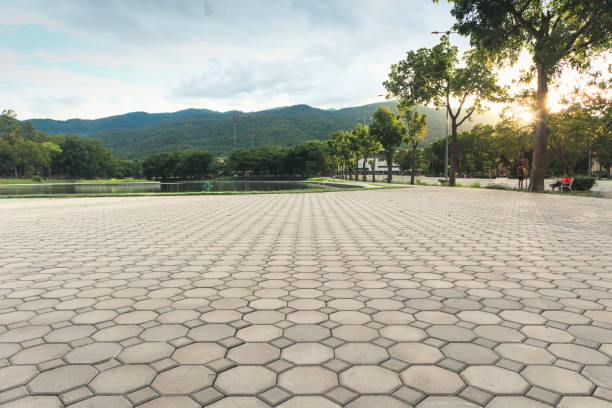 Best Residential Paver Driveway  in Pebble Creek, FL